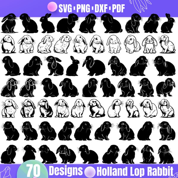 Hochwertiges Holland Lop Rabbit SVG Bundle, Holland Lop Rabbit dxf, Holland Lop Rabbit png, Holland Lop Rabbit Vektor, Zwergkaninchen svg