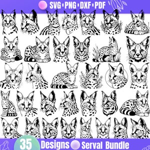 Högkvalitativt Serval SVG-paket, Serval dxf, Serval png, Serval vektor, Serval clipart, Serval pdf, vildkatt svg, Serval konst