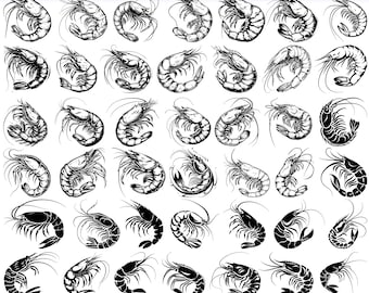Pacchetto SVG di gamberetti di alta qualità, dxf di gamberetti, png di gamberetti, vettore di gamberetti, clipart di gamberetti, gamberetti bolliti in formato SVG, frutti di mare in formato SVG, animali dell'oceano in formato SVG