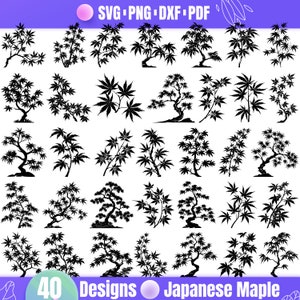 Japanischer Ahorn SVG - Elegante Ahorn Baum Silhouette, Zen-Garten, Bonsai, Naturästhetik für digitale und handwerkliche Projekte