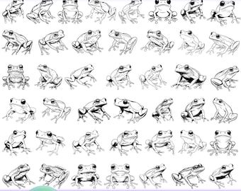 Paquete de arte lineal de ranas / 40 ranas SVG, PNG, DXF y PDF / Imágenes prediseñadas de ranas lindas / Vector de contorno de sapo / Dibujo de anfibios / Archivos de corte de Cricut