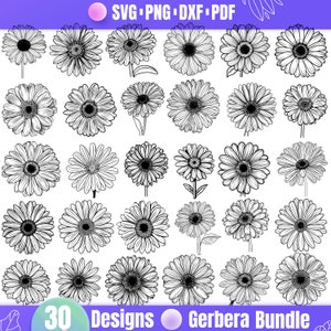 High Quality Gerbera SVG Bundle, Gerbera dxf, Gerbera png, Gerbera vector, Gerbera clipart, Gerbera Daisy svg, Gerbera Art, Gerbera designs
