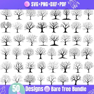 May include: A set of 50 black and white bare tree silhouette designs. The trees are in various shapes and sizes, and they are all without leaves. The text "50 Designs Bare Tree Bundle" is at the bottom of the image.