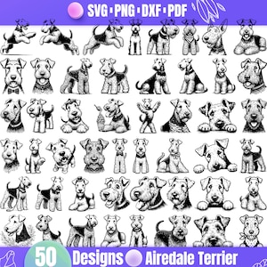 Hochwertiges Airedale Terrier SVG Bundle, Airedale Terrier dxf, Airedale Terrier png, Airedale Terrier Vektor, Airedale Terrier Clipart