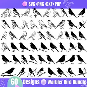 Sångfågel Svg - Charmig sångfågel silhuett för naturälskare