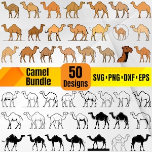 Camel SVG Bundle – 50 Camel Silhouette and Clipart Designs for Cricut, Silhouette, Sublimation, and Craft Projects