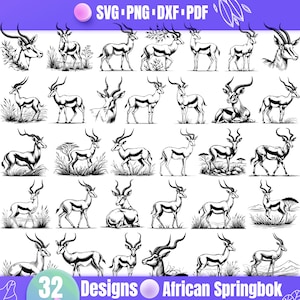 High Quality African Springbok SVG Bundle, African Springbok dxf, African Springbok png, African Springbok vector, African Springbok clipart