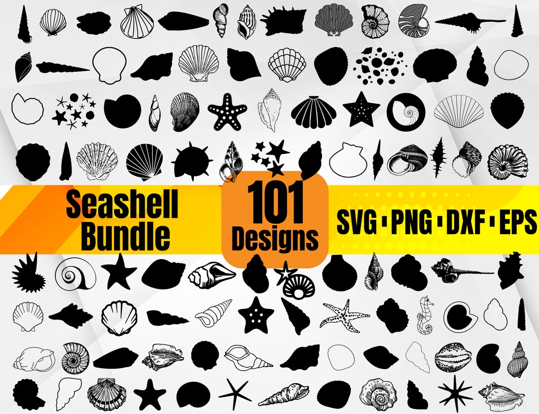 High Quality Seashell SVG Bundle, Seashell Monogram, Seashell Svg ...