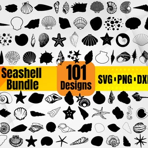 Seashell Svg - Beautiful Ocean-Inspired Design for Crafts