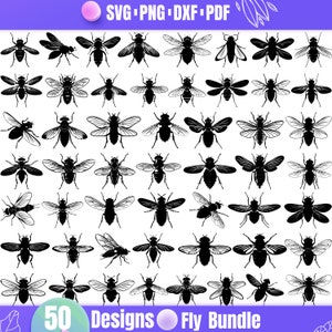 Paquete de 50 SVG de moscas: siluetas realistas de moscas domésticas e insectos para Cricut y corte láser.