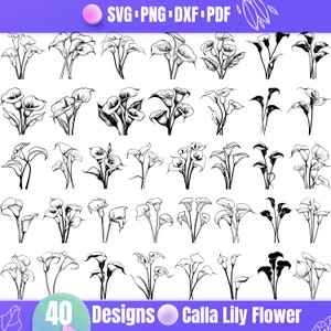 May include: 40 black and white line art designs of Calla Lily flowers. The designs are in various styles and arrangements.