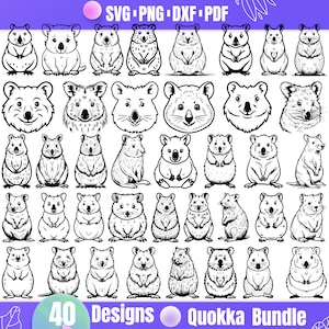 Quokka Svg | Adorable Australian Animal Clipart for Crafts