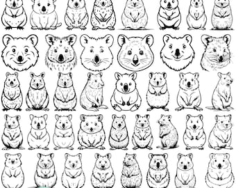 Quokka Svg | Adorable Australian Animal Clipart for Crafts