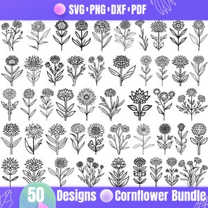 Cornflower SVG – Wildflower Botanical Clipart, Blue Floral Line Art for Cricut, Cottagecore Aesthetic, Rustic Garden Sublimation Design