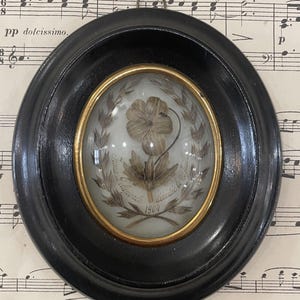 Antique French Mourning Hair Art Domed Glass Wooden Frame Flower Pansy c1904