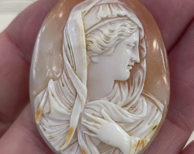 Virgin Mary Shell Rare Antique Italian Carved Shell Cameo Virgin Mary C1900 - Etsy
