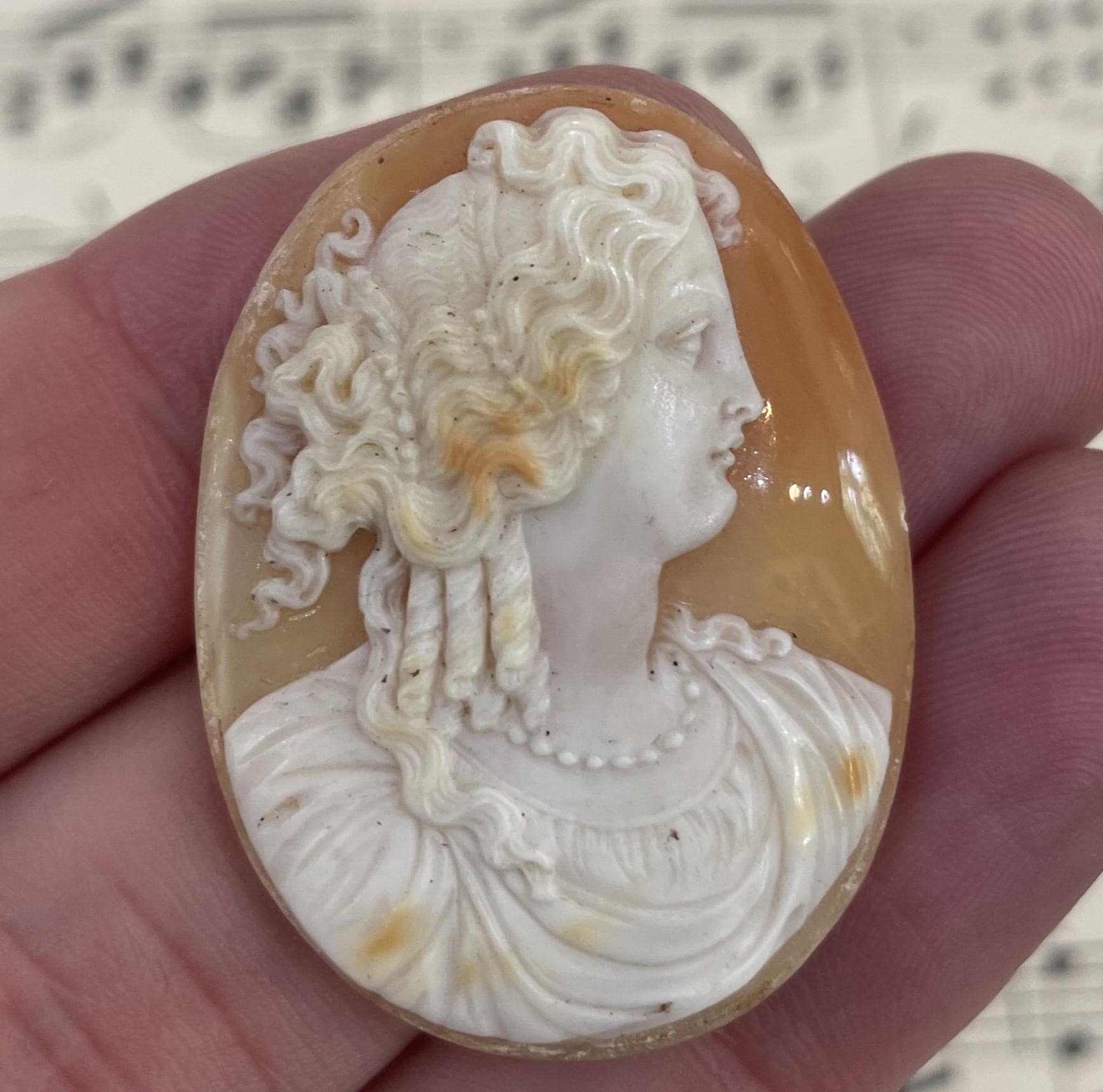 Carved Cameo Italy - Etsy