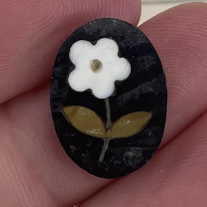 Op de afbeelding: Een zwarte ovale knoop met een witte bloem met een geel centrum en groene bladeren.