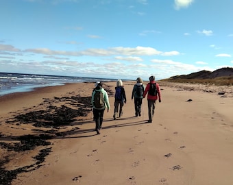 The Island Walk (eBook) - Third Edition (2025)