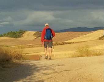 Camino Frances - eBook