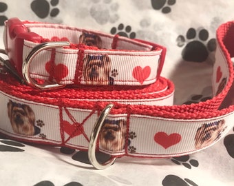 Yorkie hearts leash and collar