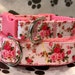 see more listings in the Leashes and collars section