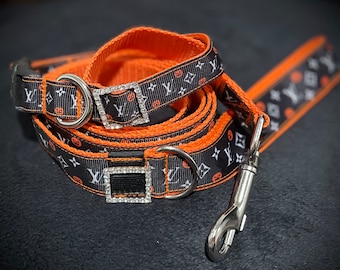 Halloween orange and black leash and collar set