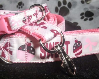 Dog leash and collar set with pink webbing