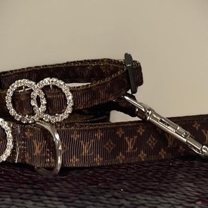 Brown leash and collar