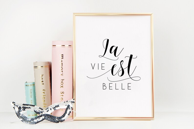 FRANZÖSISCHE Phrase La Vie Est Belle das Leben ist schön Etsy