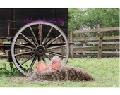 newborn Boy Backdrop Wagon Wheel Cowboy Sitters back to School Composite sitters Newborns Download farm backdrop Fence Composite spring fall
