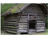 Woodland Forest Log Cabin backdrop Sitters Back to School Printable Backdrop Download Old farm Log Cabin boy Child backdrop Forest Woods