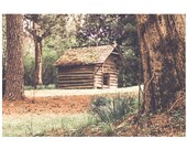 Dirt Road back to School Printable Backdrop Download Old farm Log Cabin boy Child backdrop Flowers Old Path Fence Composite Forest Woods
