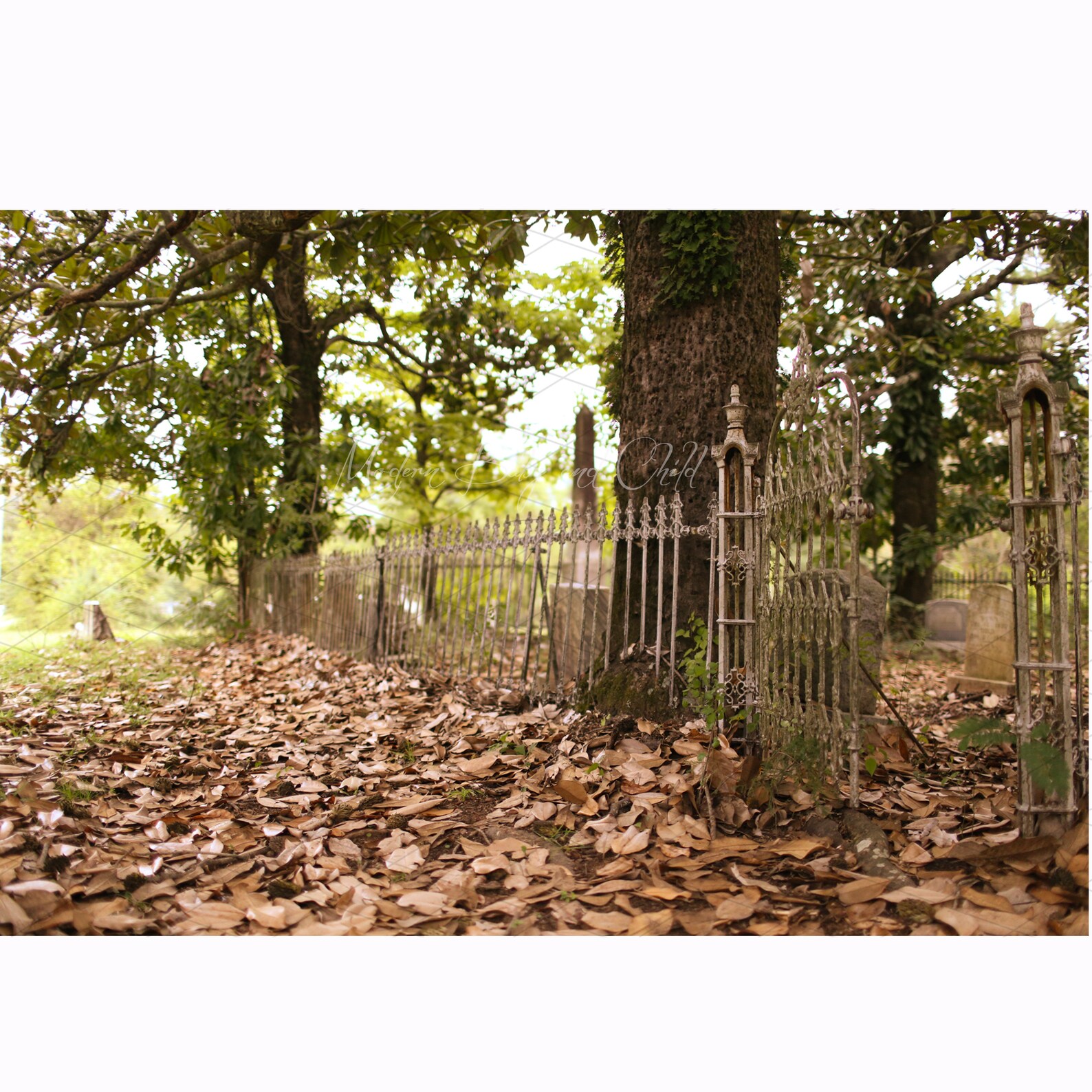 Victorian Iron Fence Backdrop Fall Digital Prop Fall Leaves - Etsy