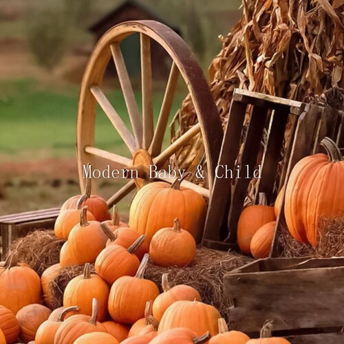 Falling Leaves Digital Background | Etsy