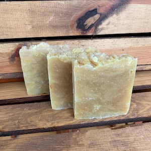 Orange and Honey Shampoo Bar- For All Hair Types