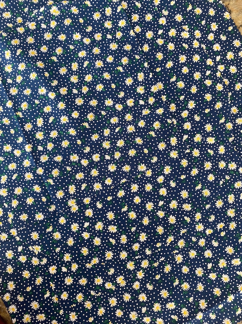 blue background/ daisy