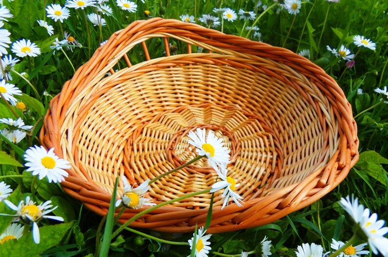 Bread Tray Bread Basket Fruit Tray Round Willow Tray Small Etsy