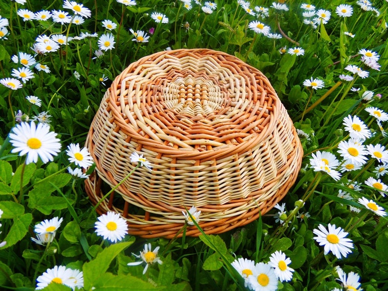 Bread Tray Bread Basket Fruit Tray Round Willow Tray Small Etsy