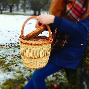 Jane Birkin Style Lidded Wicker Basket: Handwoven Picnic Shopping Panier