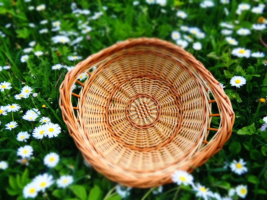 Bread Tray Bread Basket Fruit Tray Round Willow Tray Small Etsy
