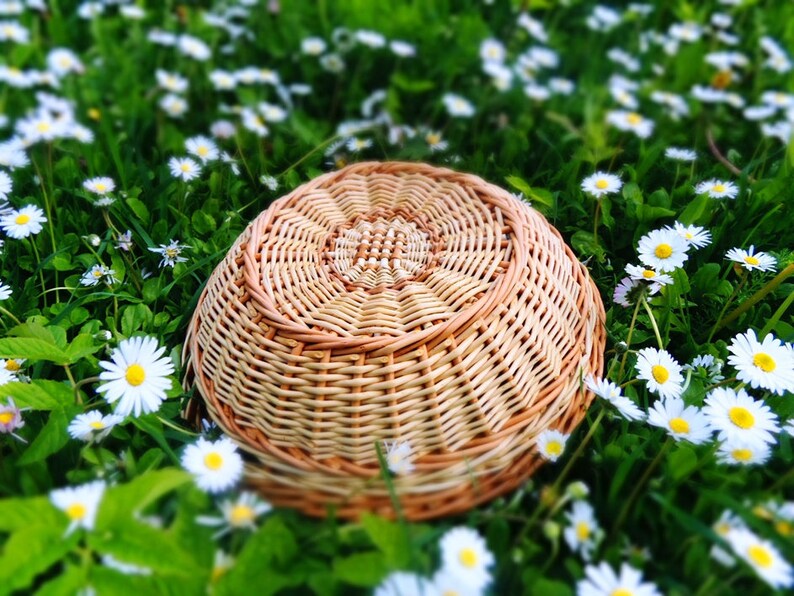 Bread tray Bread basket Fruit tray Round Willow Tray Small