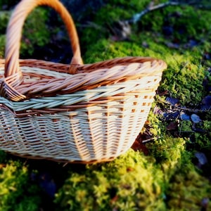 Handwoven Willow Basket: Rustic Oval Serving Tray, Photo Prop