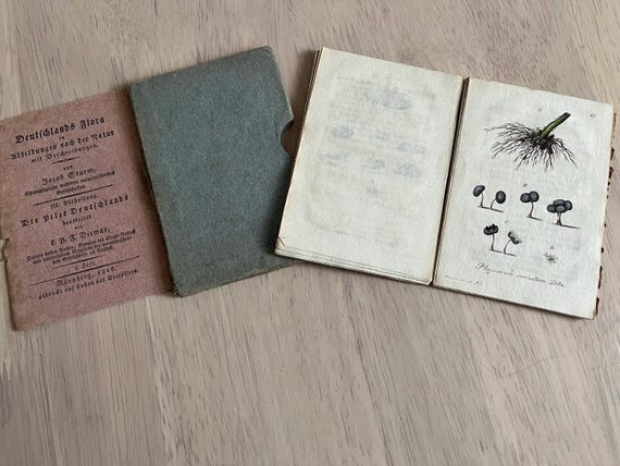 Rare 1816 Deutchlands Flora, 16 Floral Pages In This Small Delicate Book, 200 Years Plus In Age An Amazing Puece If Ephemera.