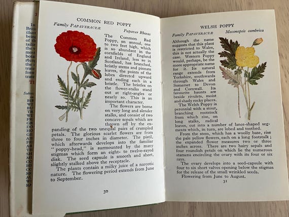 The Observer’s Book Of Wild Flowers, 220 Illustrations In Colour And Black & White.