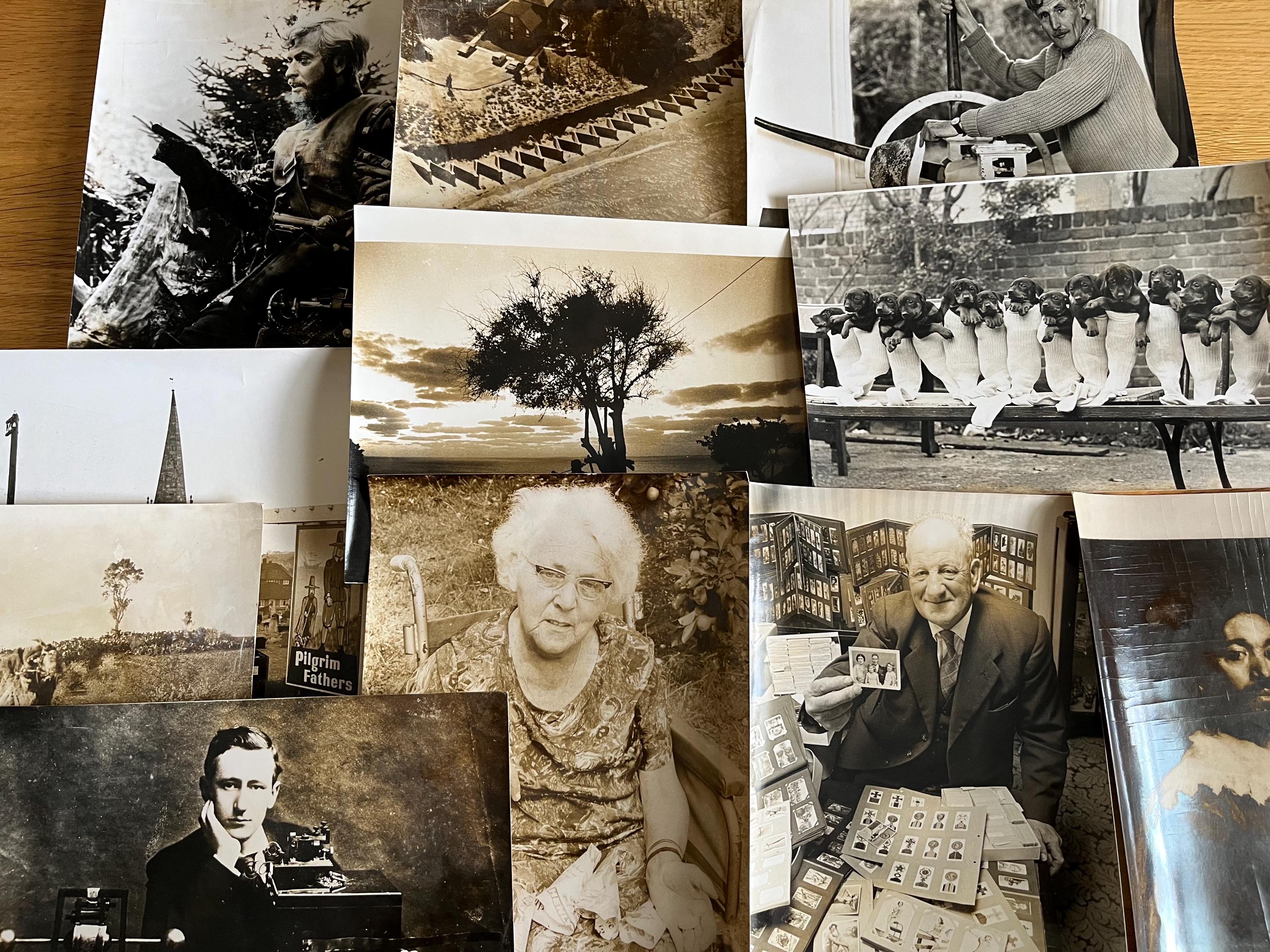 gallery photo