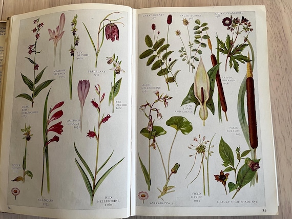 Collins Pocket Guide To Wild Flowers Over 1400 Illustrations.