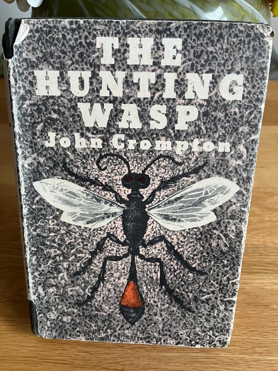 The Hunting Wasp By John Crompton 1948 ( Vintage Rare Book)