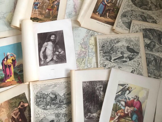Vintage Early 1800s Biblical Plates And Maps Collection Taken From Large Family Bible, nearly 200 years old.