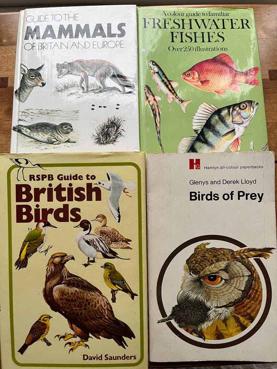 Collection Of Vintage  Mammal/ Fish / Birds Books With Great Illustrations.
